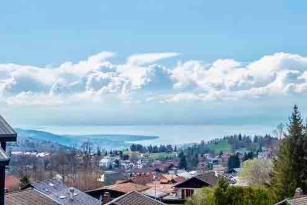 Duplex En Station Vue Sur Lac Leman Thollon-les-Memises Exterior photo