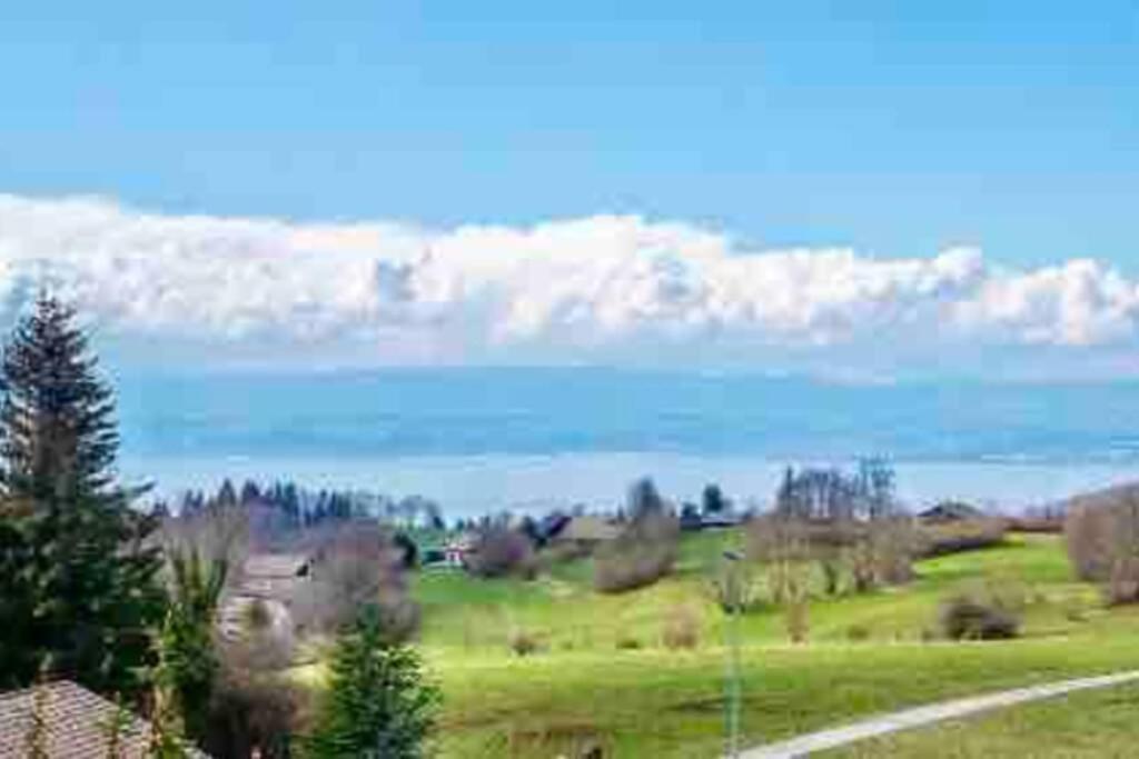 Duplex En Station Vue Sur Lac Leman Thollon-les-Memises Exterior photo