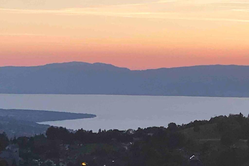 Duplex En Station Vue Sur Lac Leman Thollon-les-Memises Exterior photo