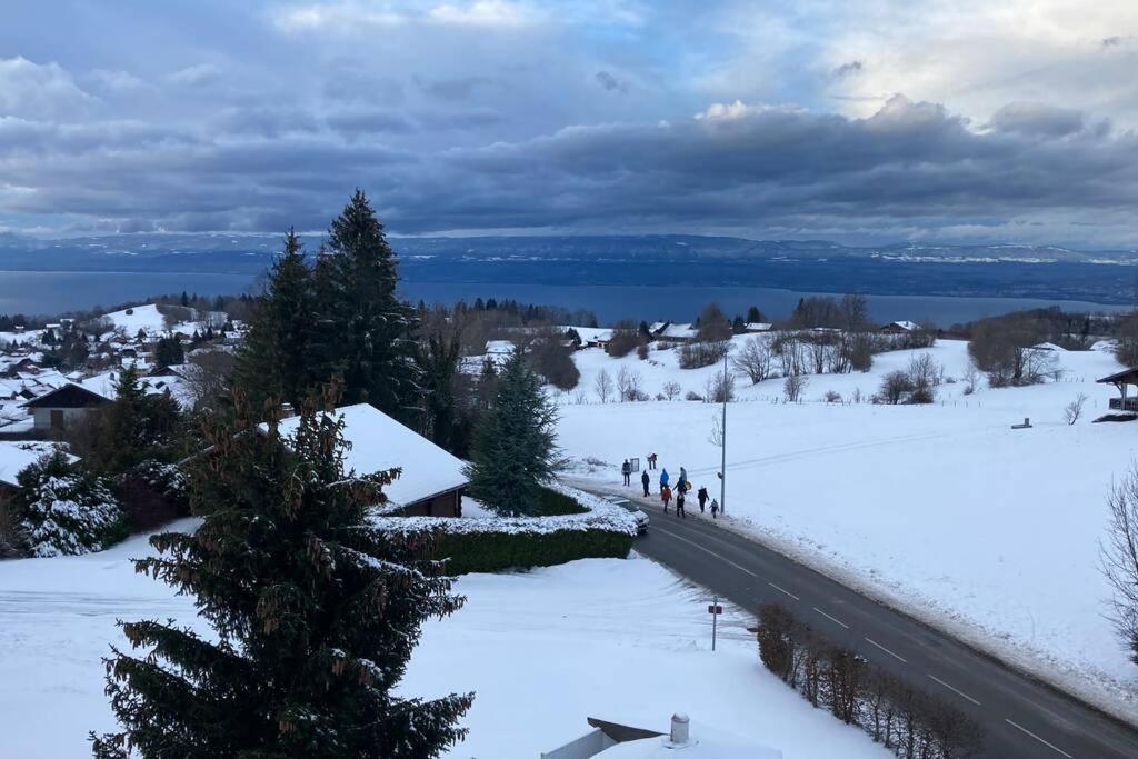 Duplex En Station Vue Sur Lac Leman Thollon-les-Memises Exterior photo