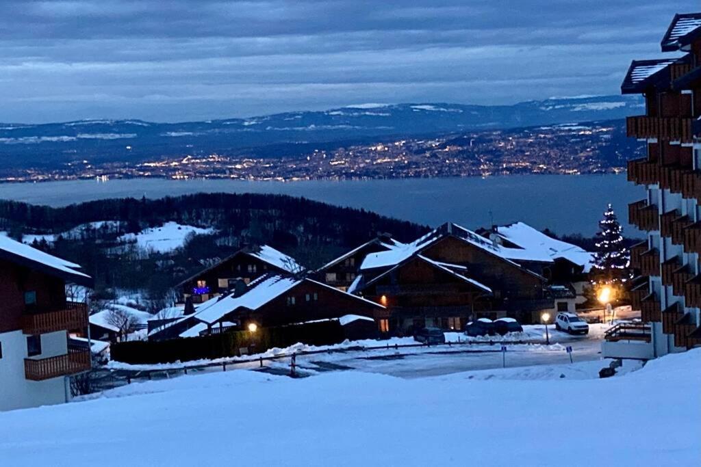 Duplex En Station Vue Sur Lac Leman Thollon-les-Memises Exterior photo