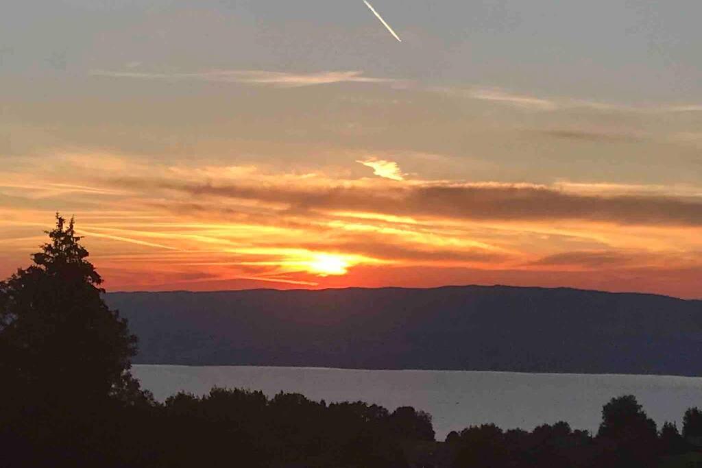 Duplex En Station Vue Sur Lac Leman Thollon-les-Memises Exterior photo