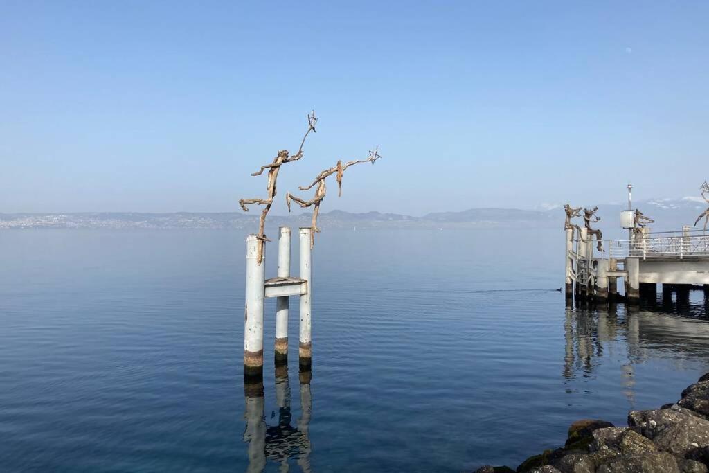 Duplex En Station Vue Sur Lac Leman Thollon-les-Memises Exterior photo